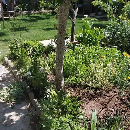 Apart Turgutreis Apartment Turgutreis