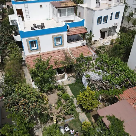 Appartement Apart Turgutreis